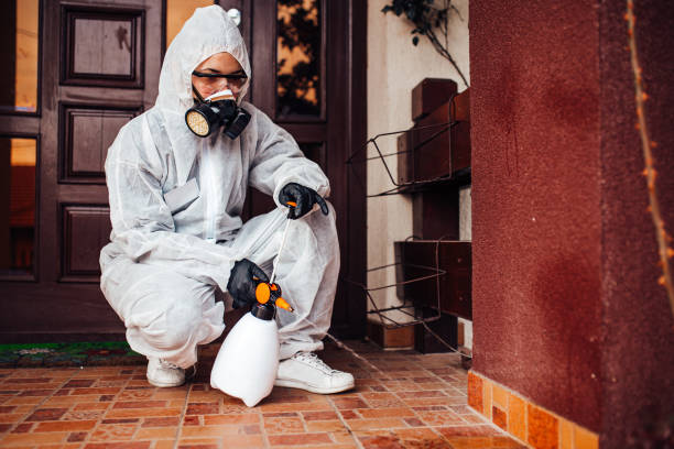 Attic and Crawl Space Rodent Treatment in East Flat Rock